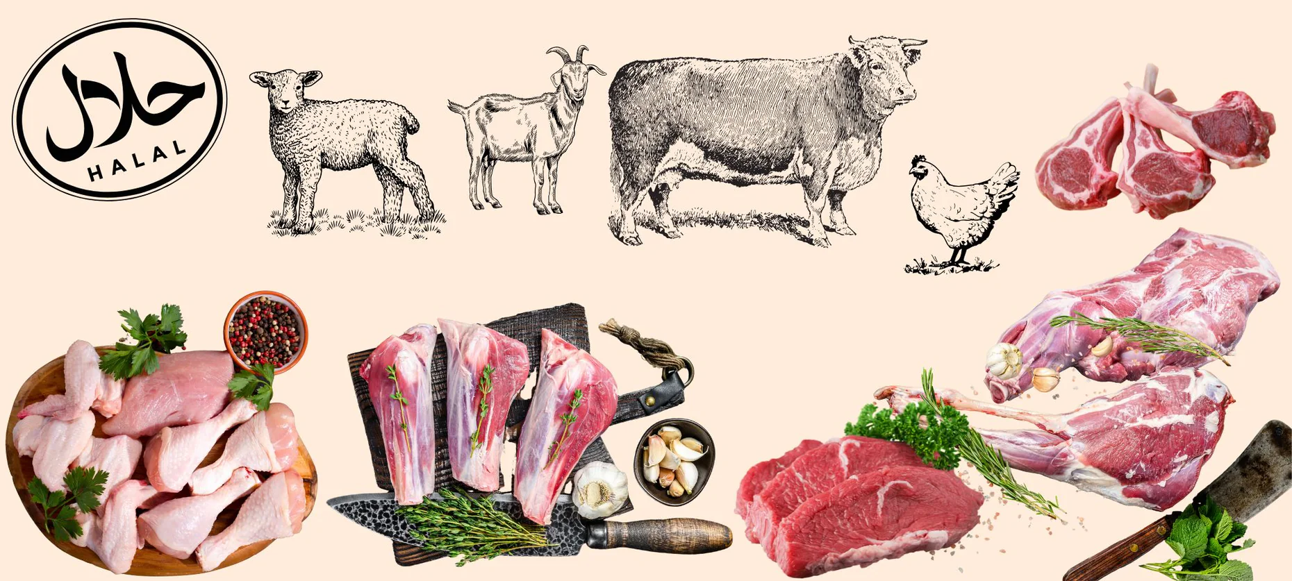 Authentic Flavors of the Middle East